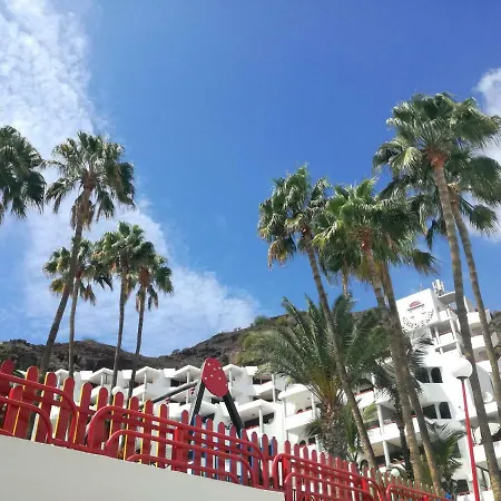 El Cardenal Daire