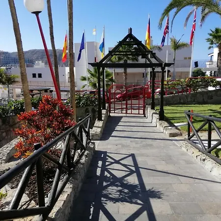 Daire El Cardenal *